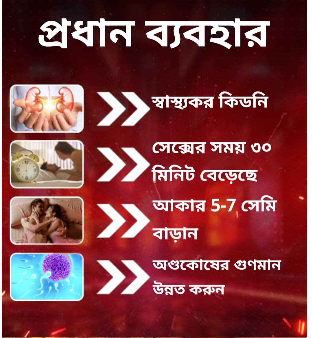 WhatsApp-Image-2025-03-04-at-7.59.33-PM